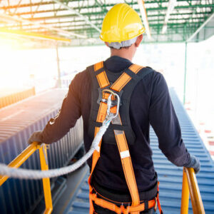 Safety body harness : Definisi, Fungsi, & Cara Penggunaan